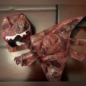 Animal Planet Raptor / Dinosaur Dog Costume (Small)